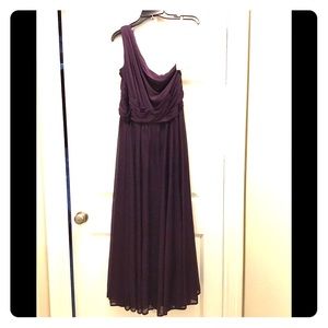 NWT, long, plum, mesh dress, one shoulder, size 16